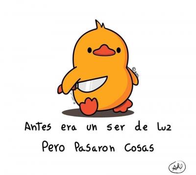 Pollito violento