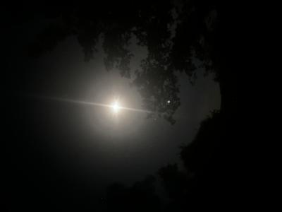 Noche